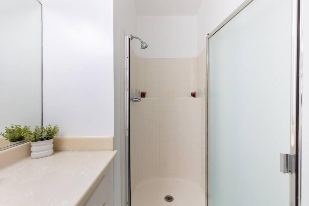 Sunny 1 Bedroom In The Heart Of Venice - #1 Apartment *